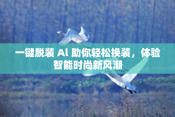 一键脱装 Al 助你轻松换装，体验智能时尚新风潮