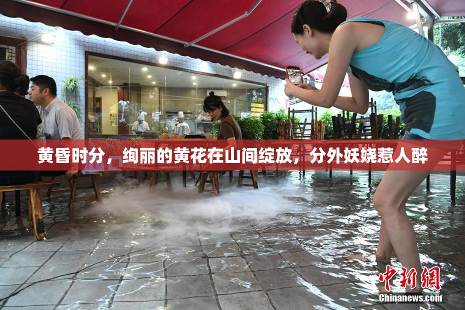 黄昏时分，绚丽的黄花在山间绽放，分外妖娆惹人醉