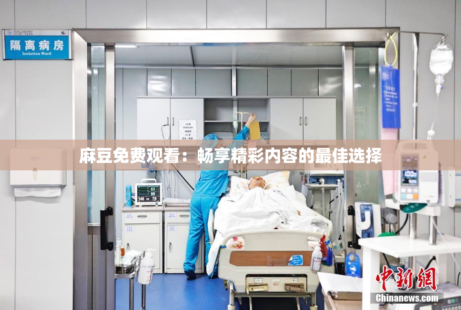麻豆免费观看：畅享精彩内容的最佳选择