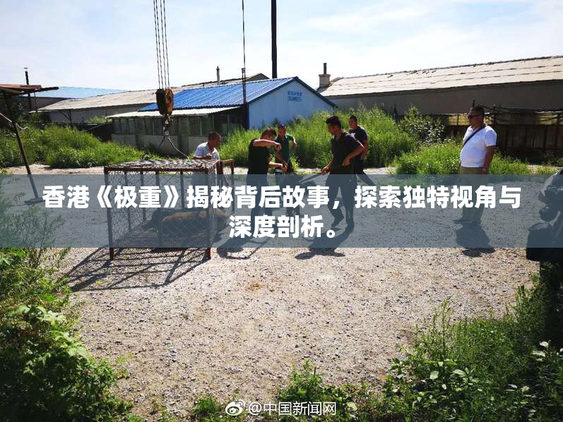 香港《极重》揭秘背后故事，探索独特视角与深度剖析。