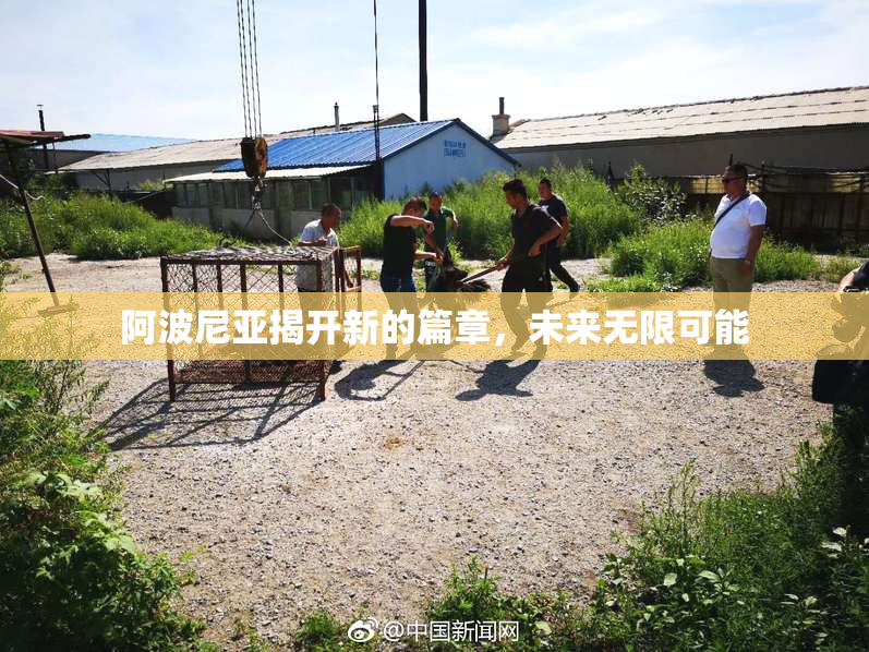 阿波尼亚揭开新的篇章，未来无限可能