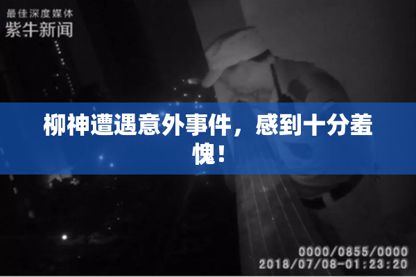 柳神遭遇意外事件，感到十分羞愧！