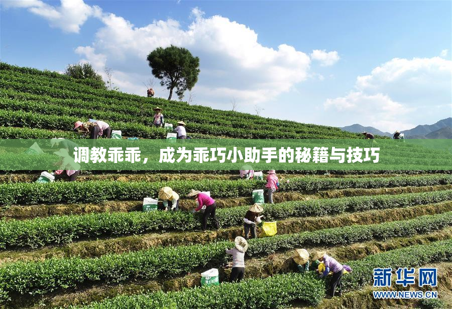 调教乖乖，成为乖巧小助手的秘籍与技巧