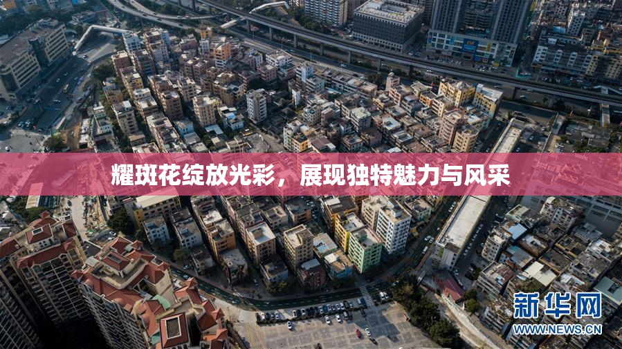 耀斑花绽放光彩，展现独特魅力与风采