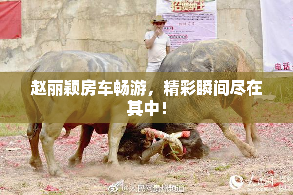 赵丽颖房车畅游，精彩瞬间尽在其中！