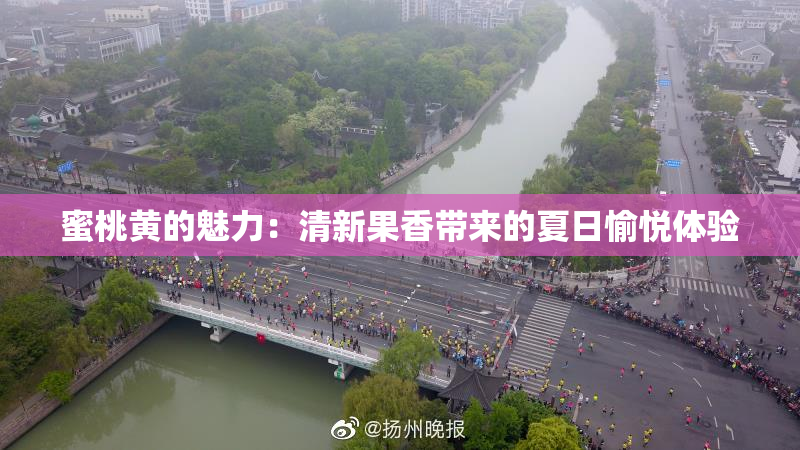 蜜桃黄的魅力：清新果香带来的夏日愉悦体验