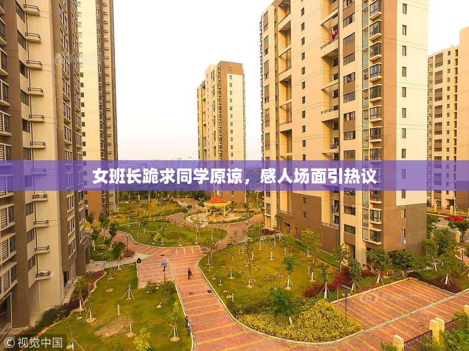 女班长跪求同学原谅，感人场面引热议