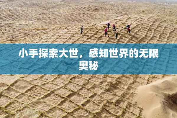 小手探索大世，感知世界的无限奥秘