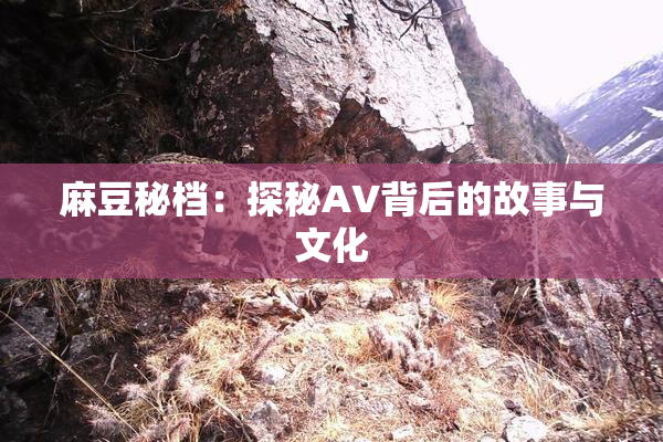 麻豆秘档：探秘AV背后的故事与文化