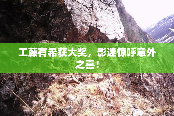 工藤有希获大奖，影迷惊呼意外之喜！