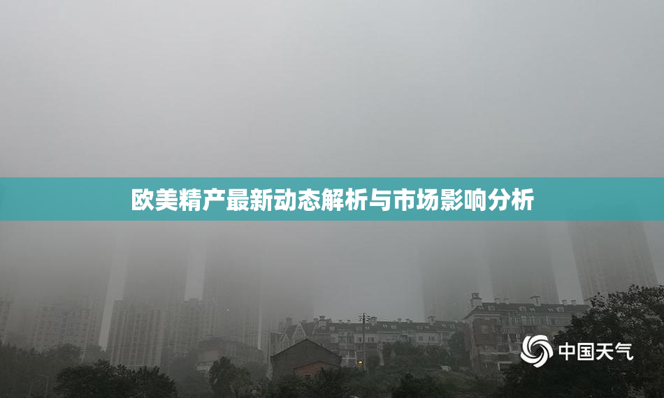 欧美精产最新动态解析与市场影响分析
