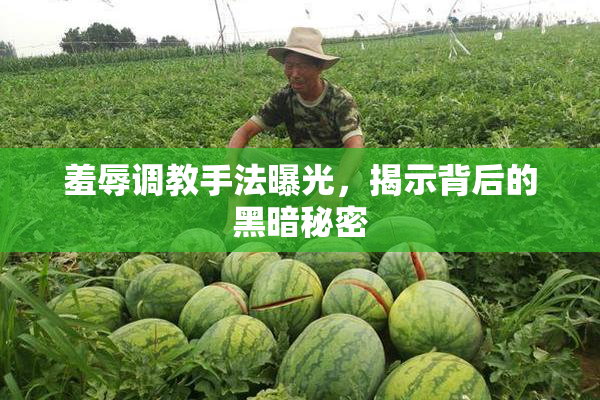 羞辱调教手法曝光，揭示背后的黑暗秘密