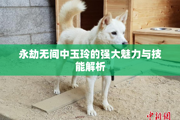 永劫无间中玉玲的强大魅力与技能解析