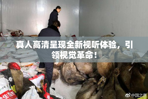 真人高清呈现全新视听体验，引领视觉革命！