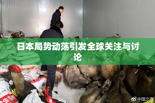 日本局势动荡引发全球关注与讨论