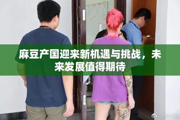 麻豆产国迎来新机遇与挑战，未来发展值得期待