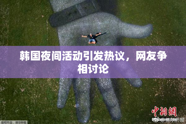 韩国夜间活动引发热议，网友争相讨论