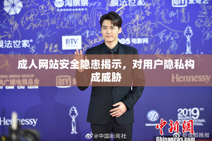 成人网站安全隐患揭示，对用户隐私构成威胁
