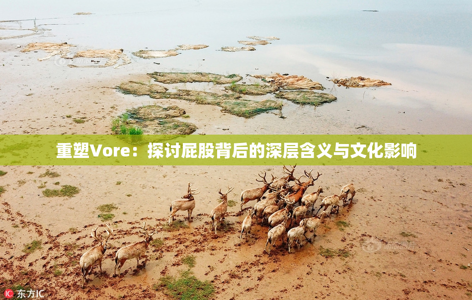重塑Vore：探讨屁股背后的深层含义与文化影响