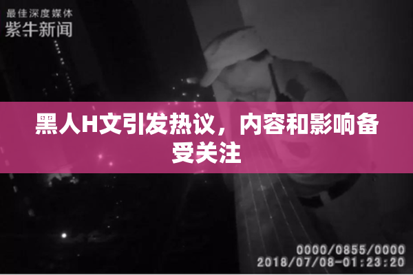 黑人H文引发热议，内容和影响备受关注