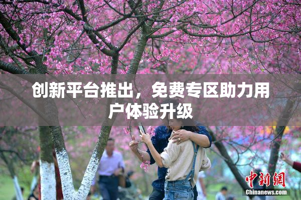 创新平台推出，免费专区助力用户体验升级