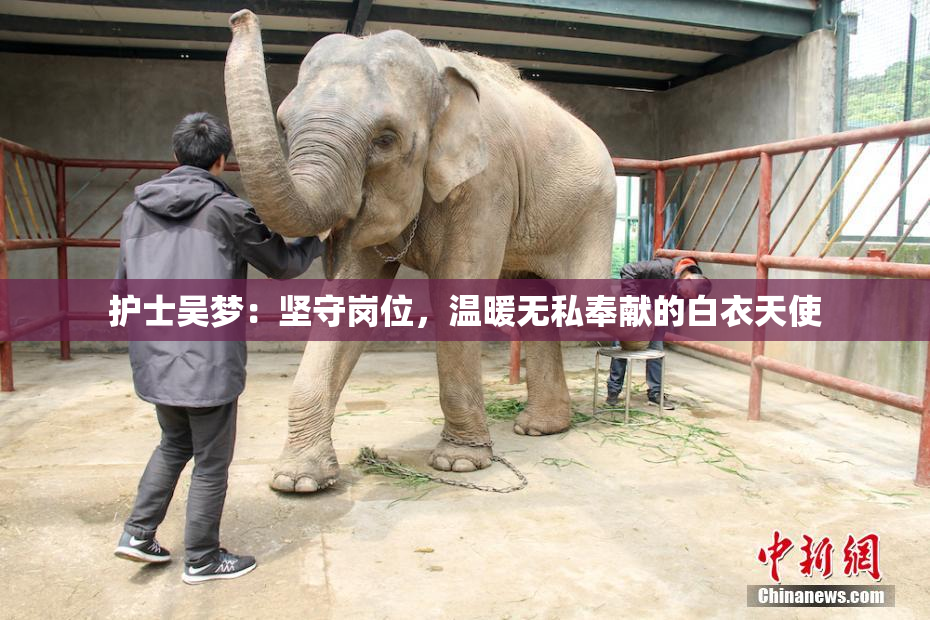 护士吴梦：坚守岗位，温暖无私奉献的白衣天使