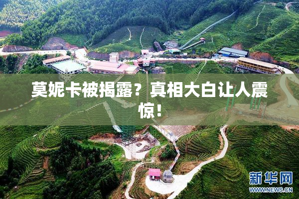莫妮卡被揭露？真相大白让人震惊！