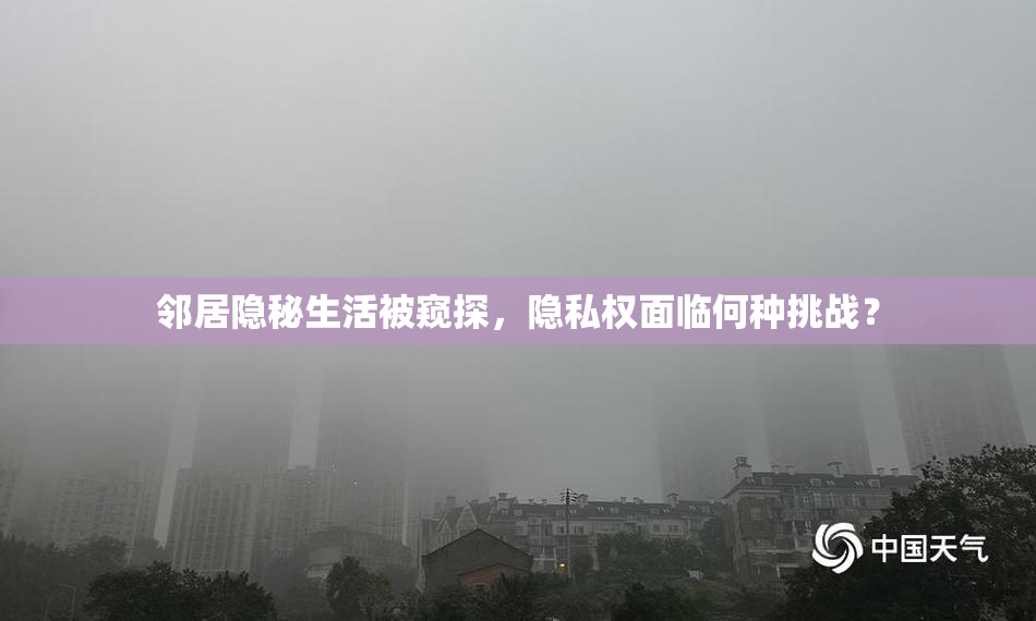 邻居隐秘生活被窥探，隐私权面临何种挑战？