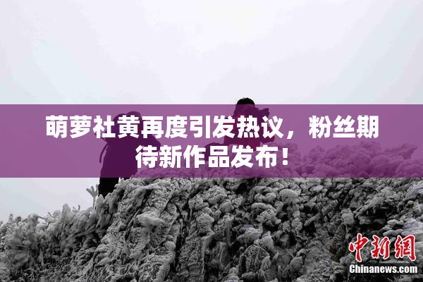 萌萝社黄再度引发热议，粉丝期待新作品发布！