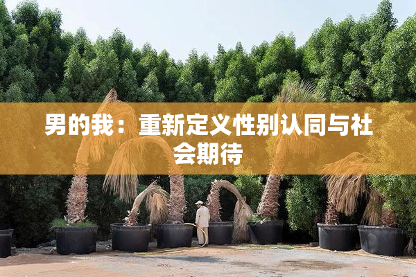 男的我：重新定义性别认同与社会期待