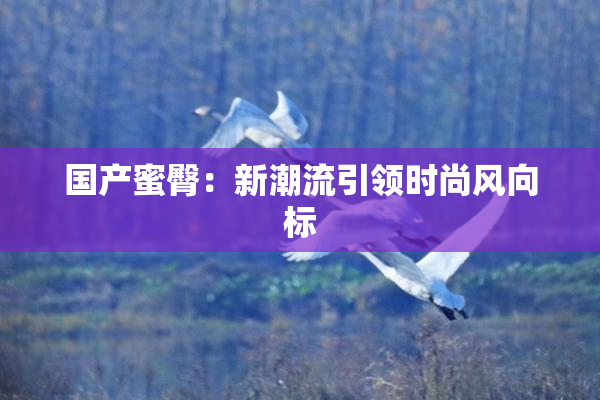 国产蜜臀：新潮流引领时尚风向标