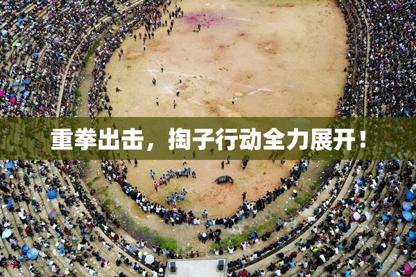 重拳出击，掏子行动全力展开！