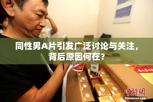 同性男A片引发广泛讨论与关注，背后原因何在？
