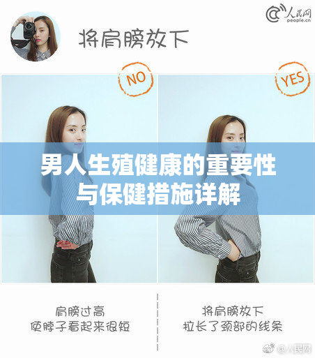 男人生殖健康的重要性与保健措施详解