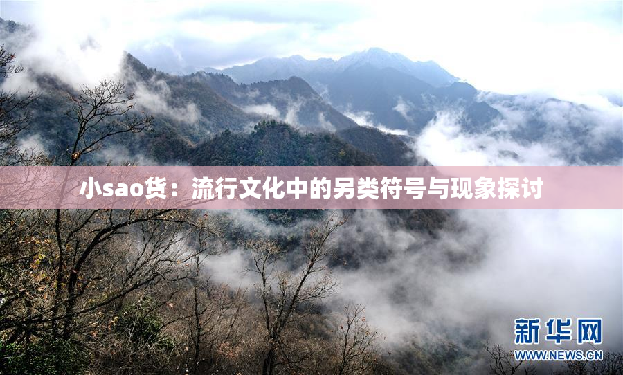 小sao货：流行文化中的另类符号与现象探讨