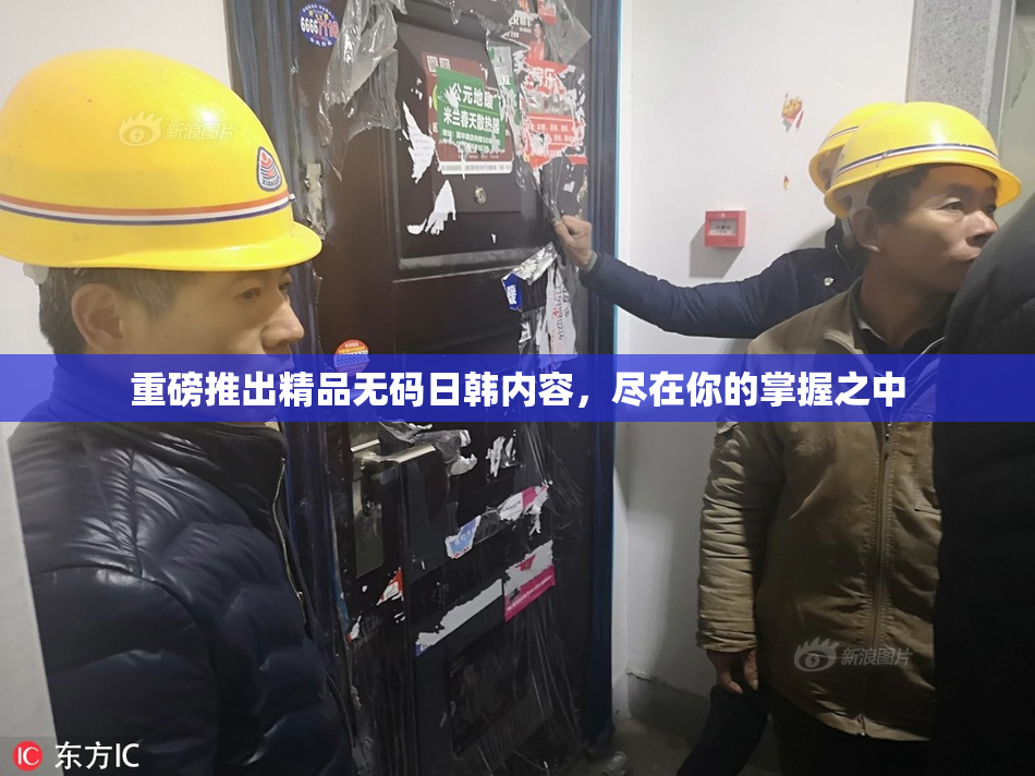 重磅推出精品无码日韩内容，尽在你的掌握之中