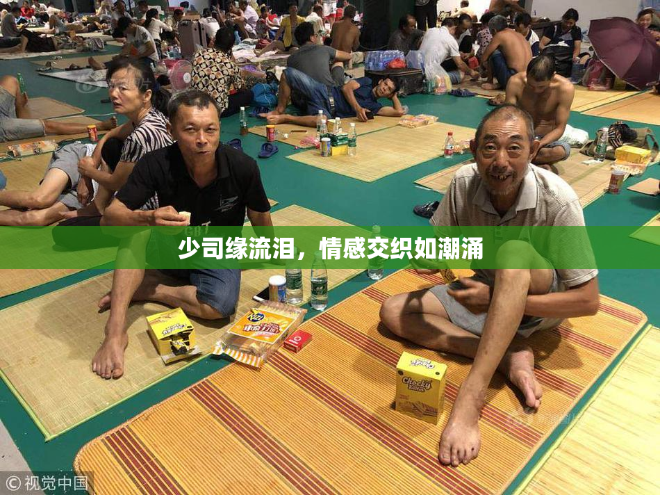 少司缘流泪，情感交织如潮涌