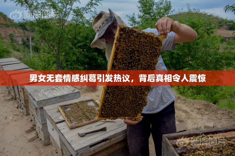 男女无套情感纠葛引发热议，背后真相令人震惊