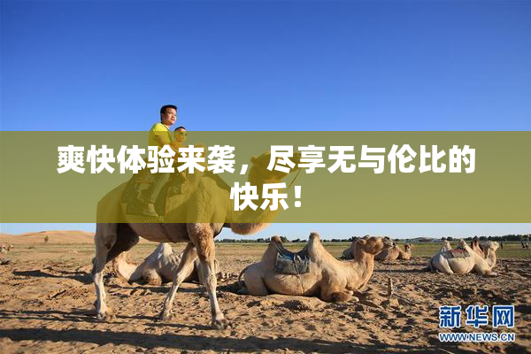 爽快体验来袭，尽享无与伦比的快乐！