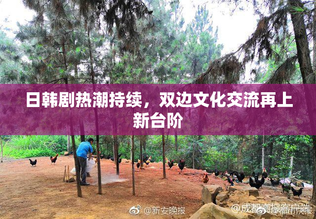 日韩剧热潮持续，双边文化交流再上新台阶