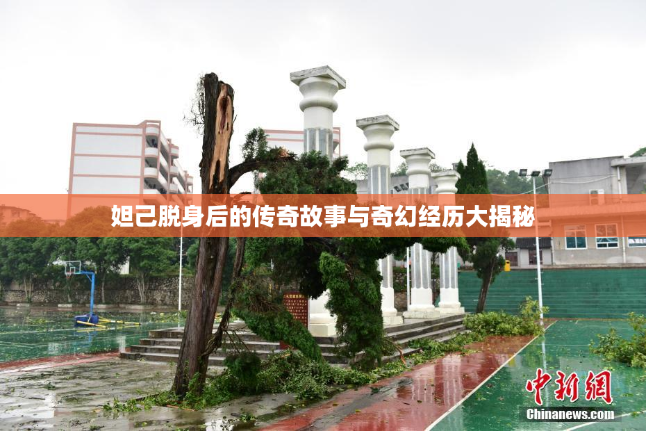 妲己脱身后的传奇故事与奇幻经历大揭秘