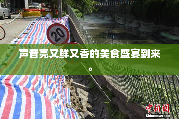 声音亮又鲜又香的美食盛宴到来。