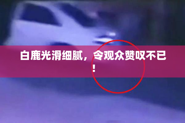 白鹿光滑细腻，令观众赞叹不已！