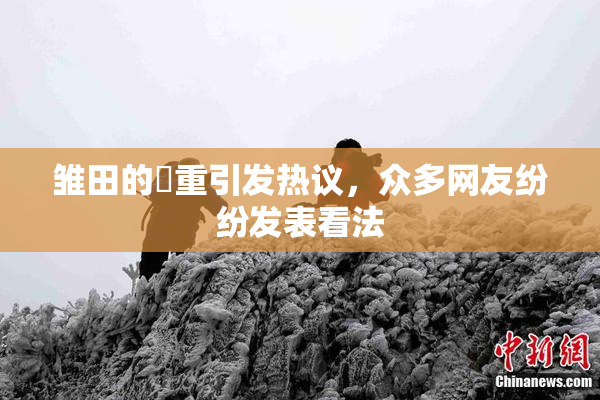雏田的婬重引发热议，众多网友纷纷发表看法