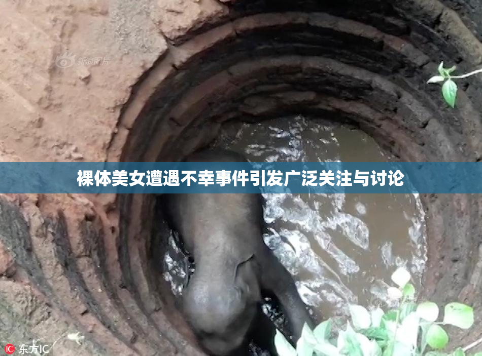 裸体美女遭遇不幸事件引发广泛关注与讨论