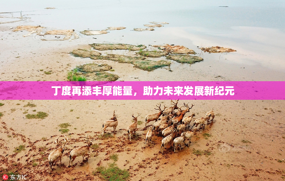 丁度再添丰厚能量，助力未来发展新纪元