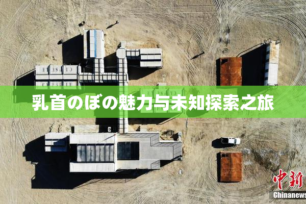 乳首のぼの魅力与未知探索之旅