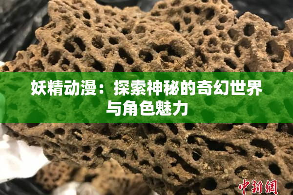 妖精动漫：探索神秘的奇幻世界与角色魅力