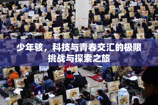少年骇，科技与青春交汇的极限挑战与探索之旅
