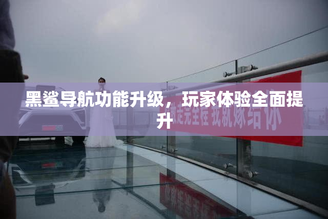 黑鲨导航功能升级，玩家体验全面提升
